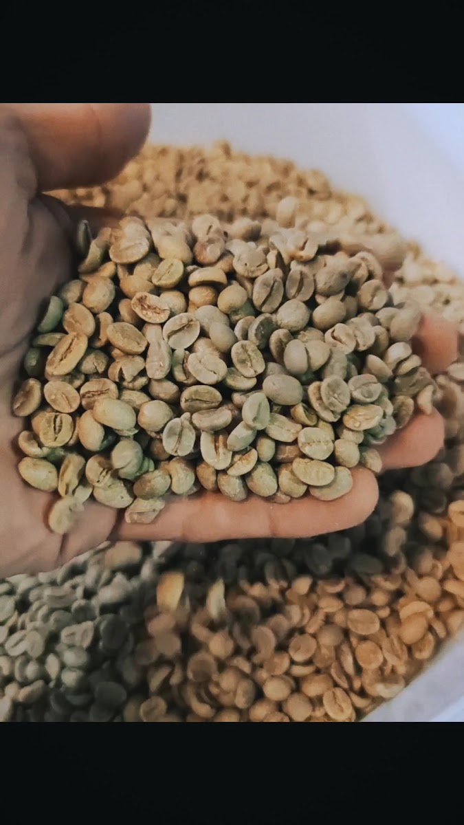 C&p Coffee Roastery-2