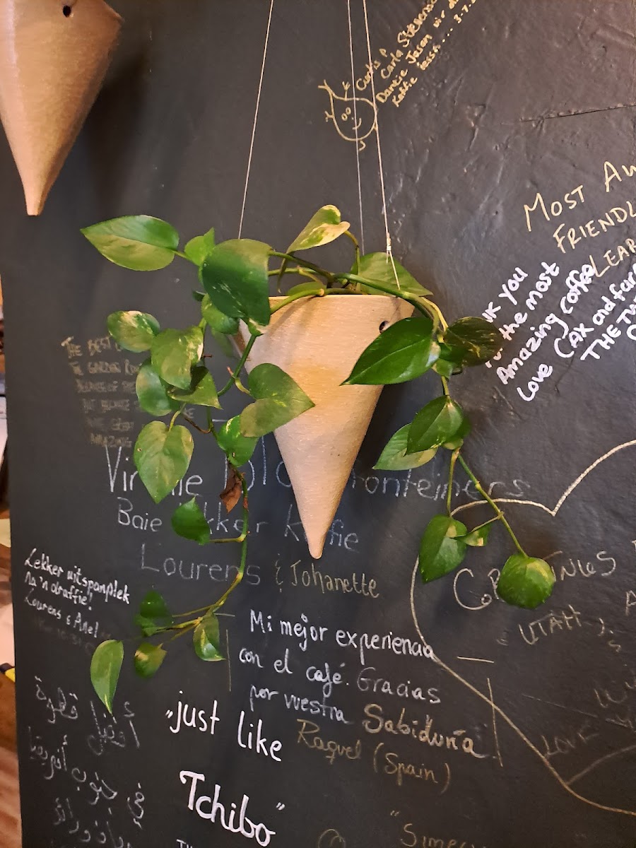 Menu C&p Coffee Roastery-4