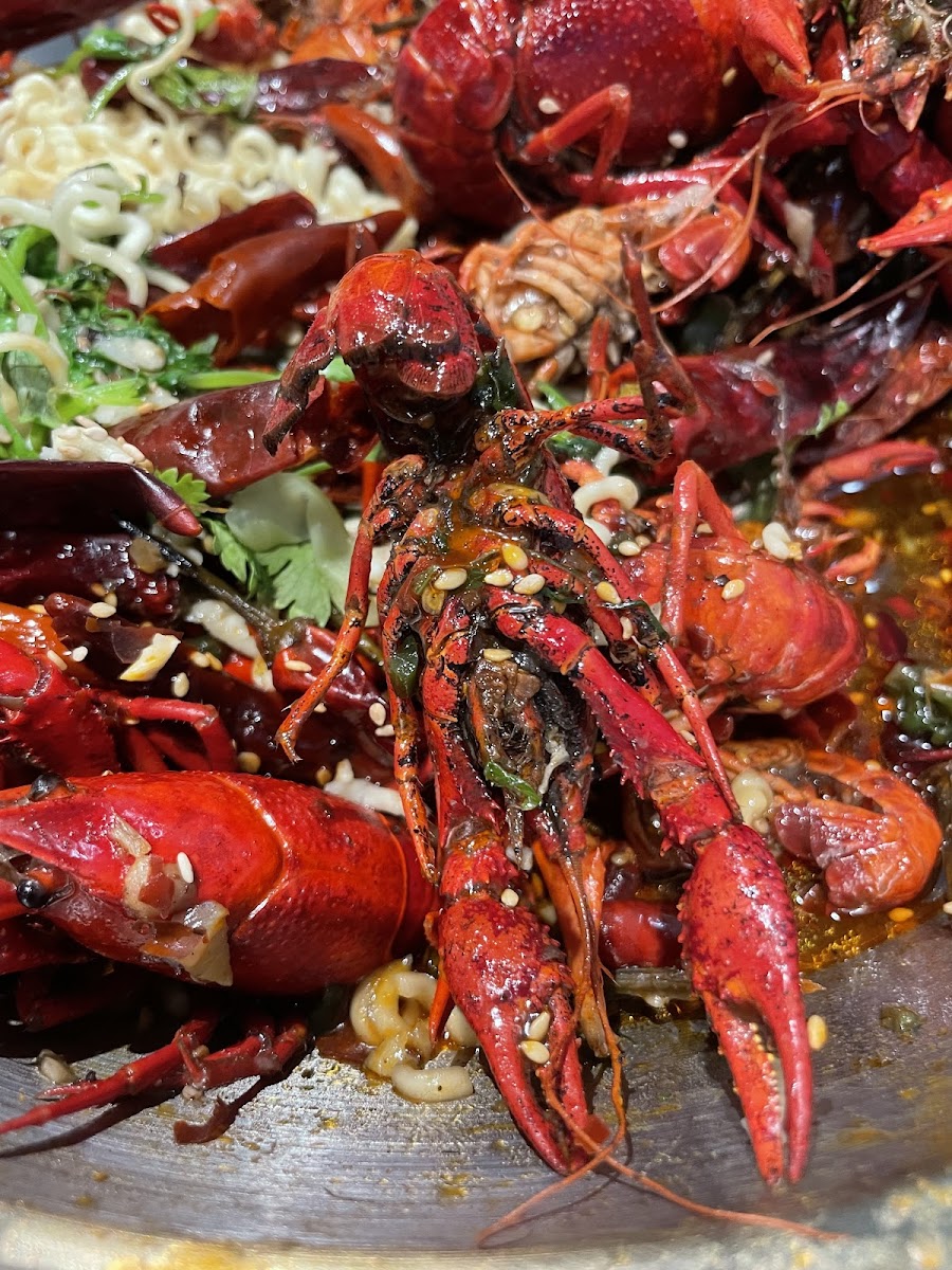 Crab Time-6