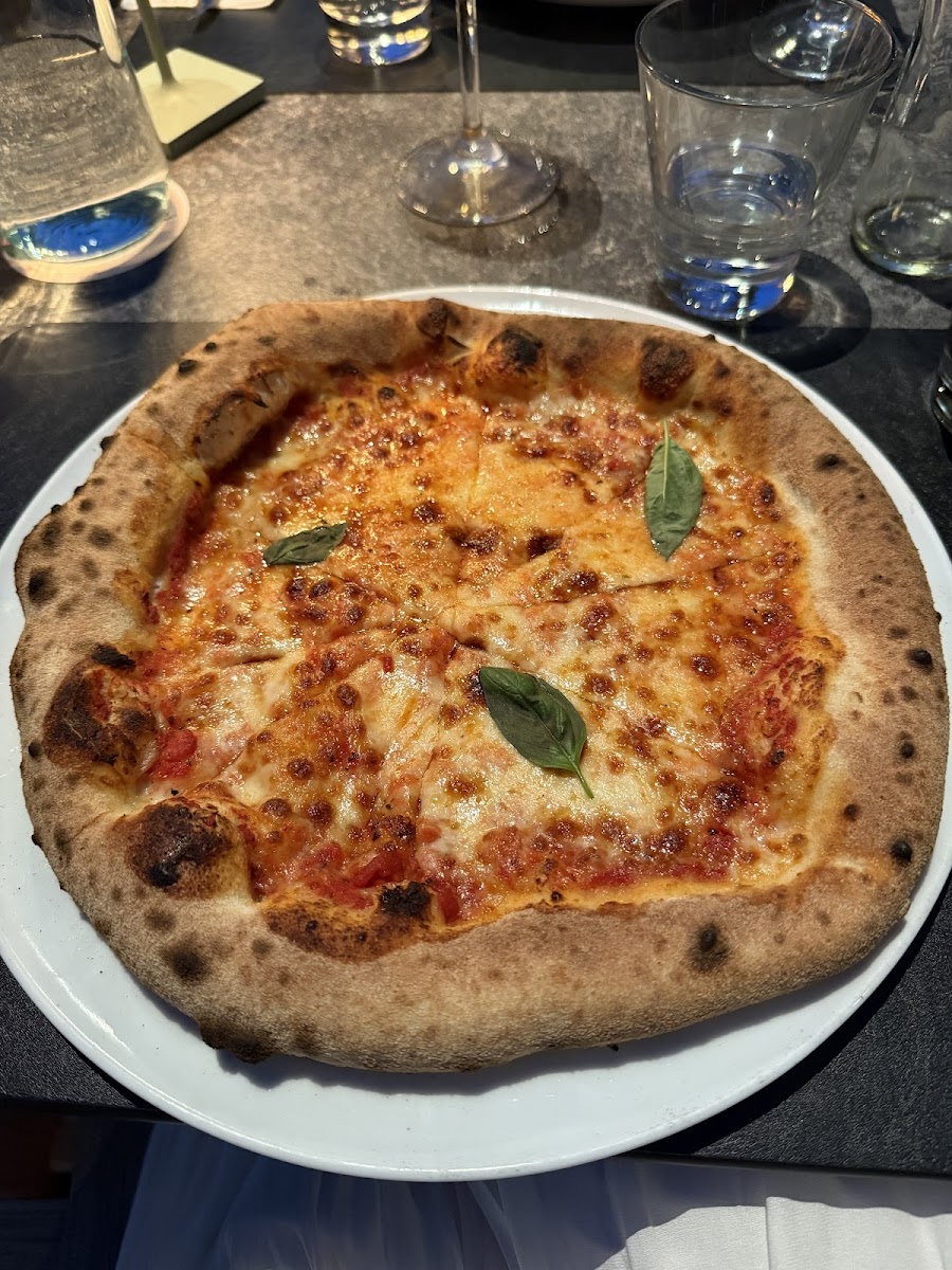 Cugini-4