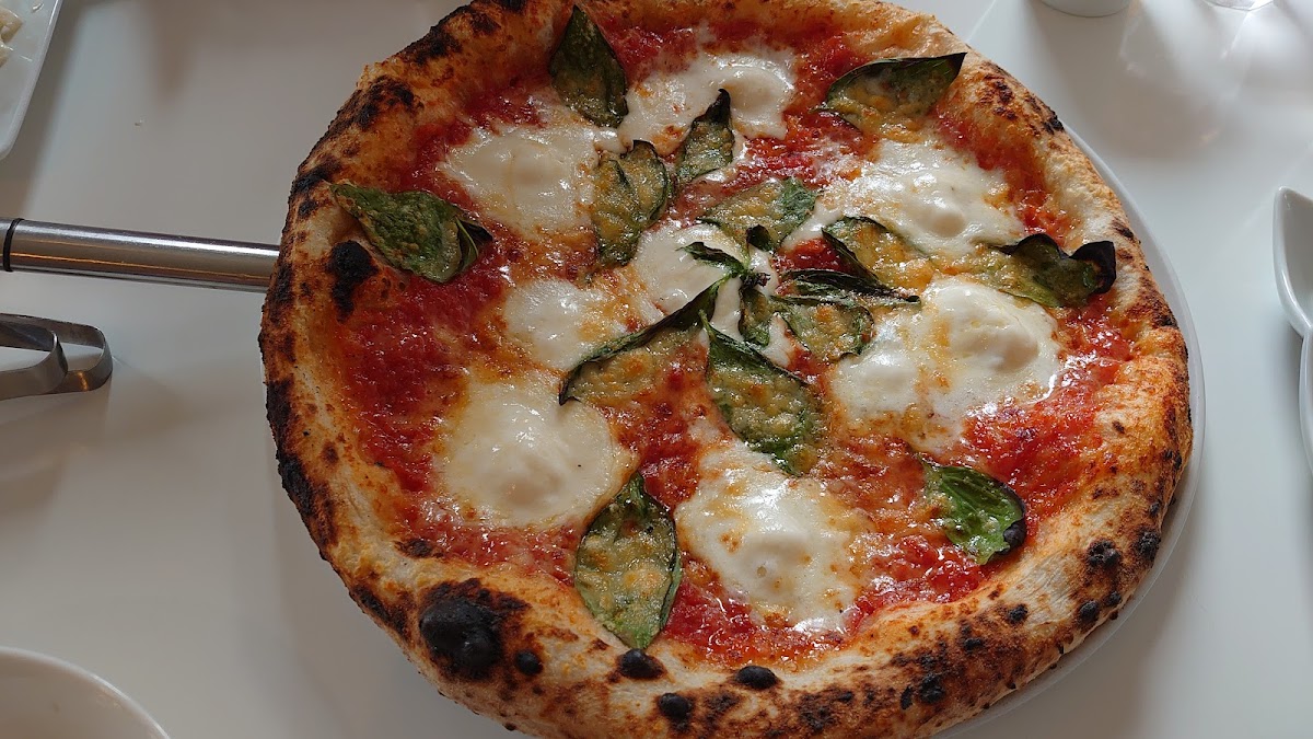 Cuore Verde-5