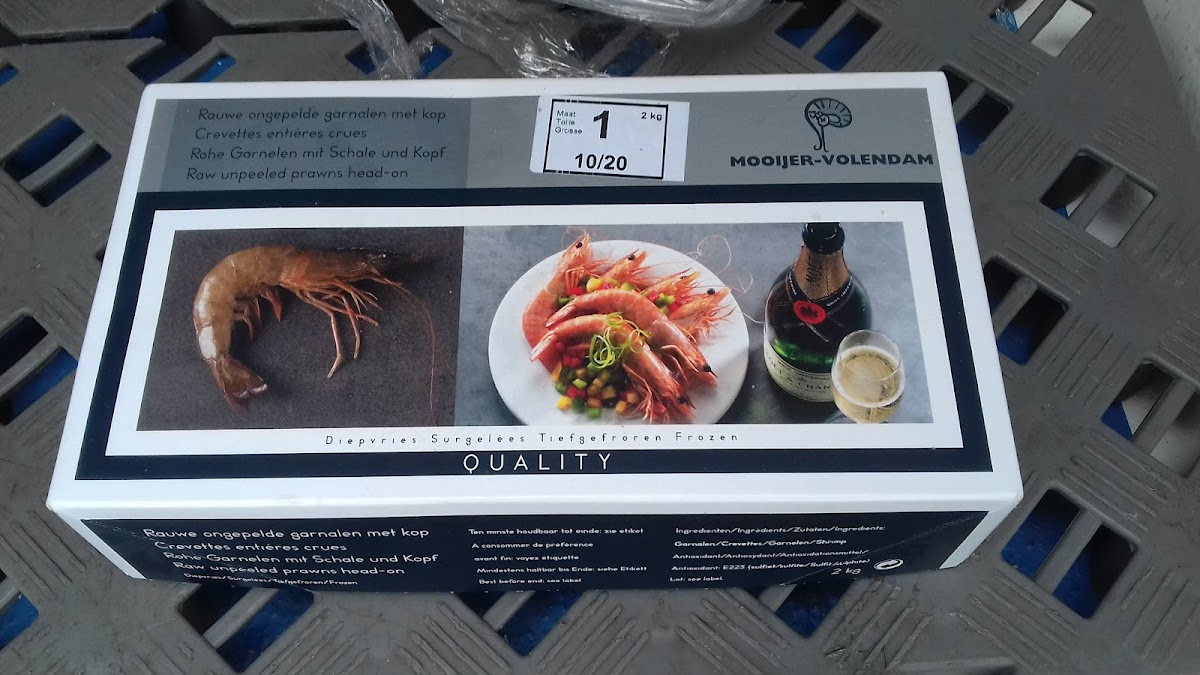 Menu Da Angelo-1