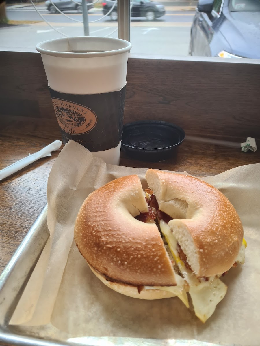 Daily Harvest Cafe-8