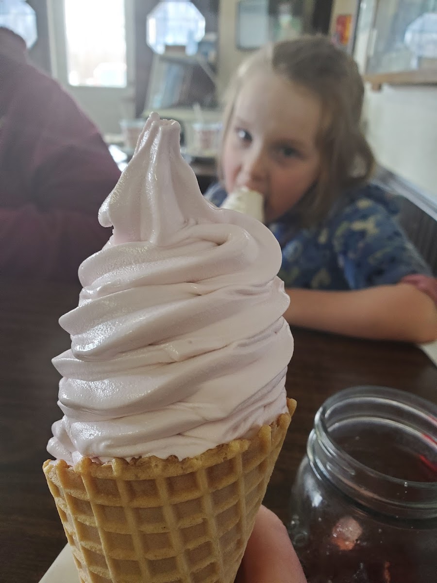 Dairy-Kone-10