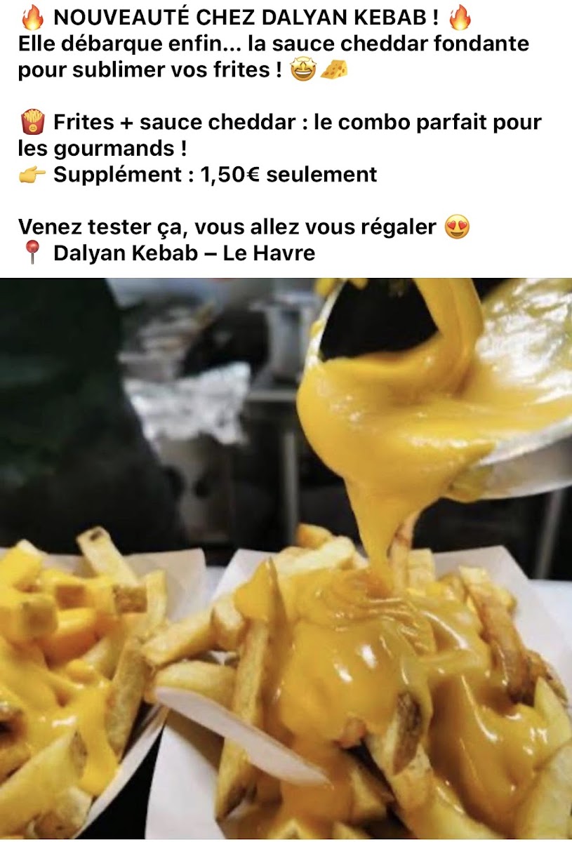 Dalyan Kebab-2