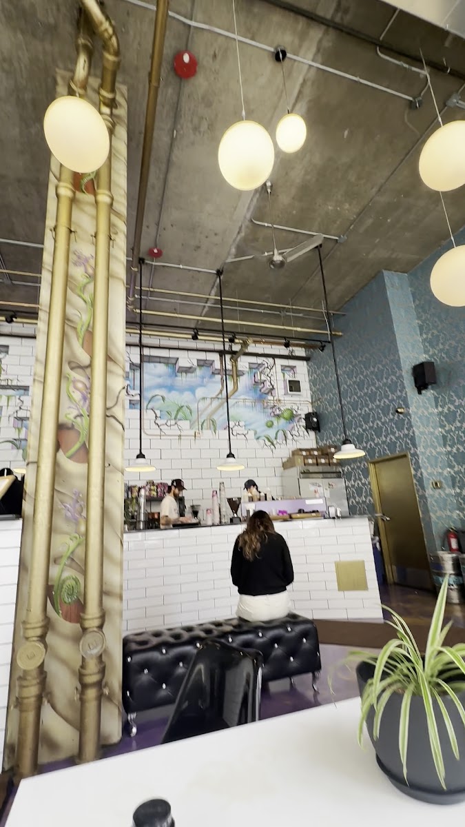 Dark Matter Coffee - Meddle Coffee Bar-2
