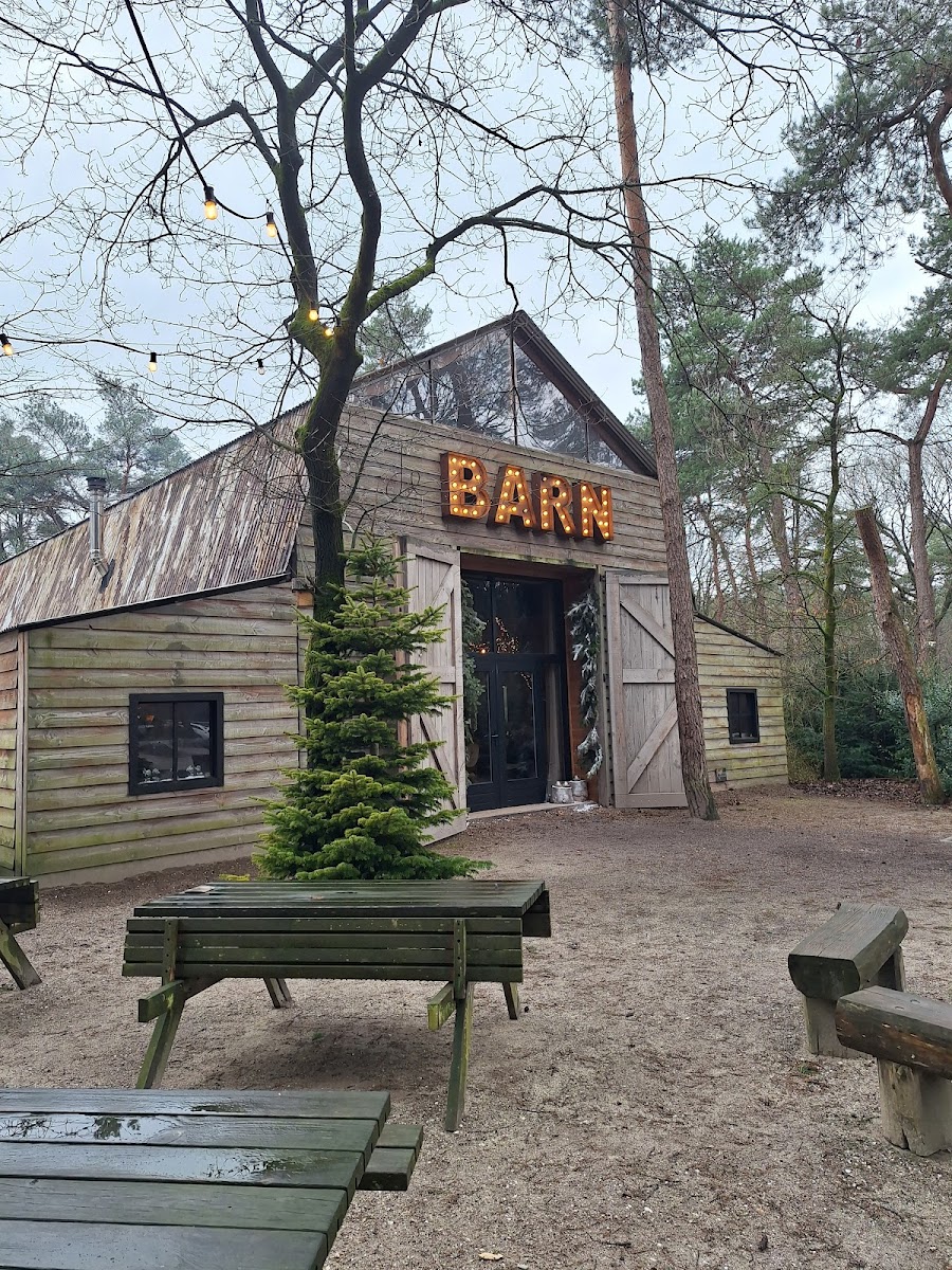 De Boshut-4