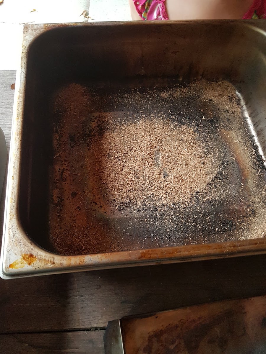 De Koffietuin, De Idyllische Achtertuin Van Zuid-Beveland!-9