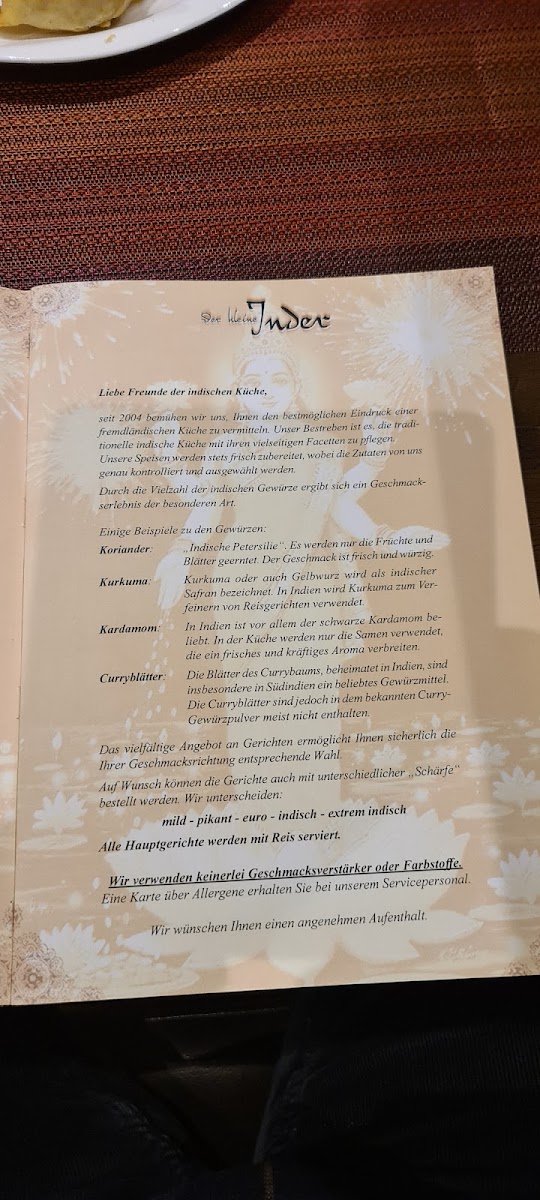 Menu Der Kleine Inder-7