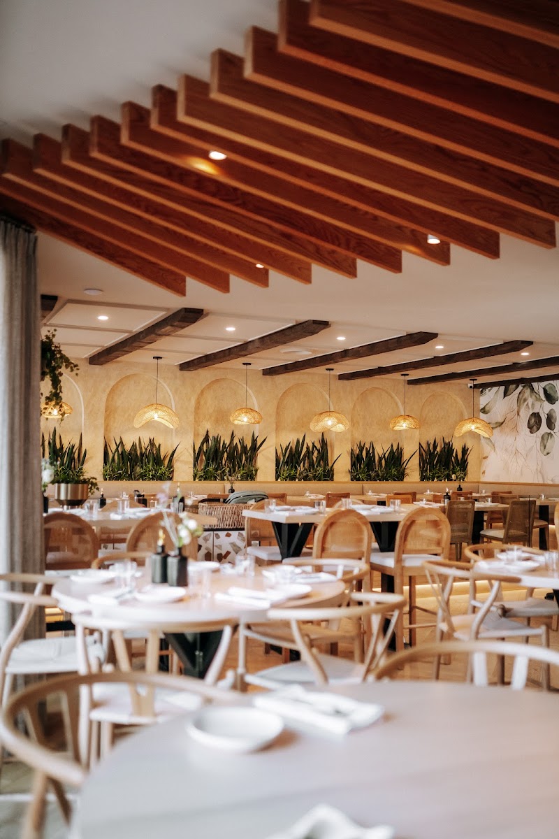 Dimi's Greek House