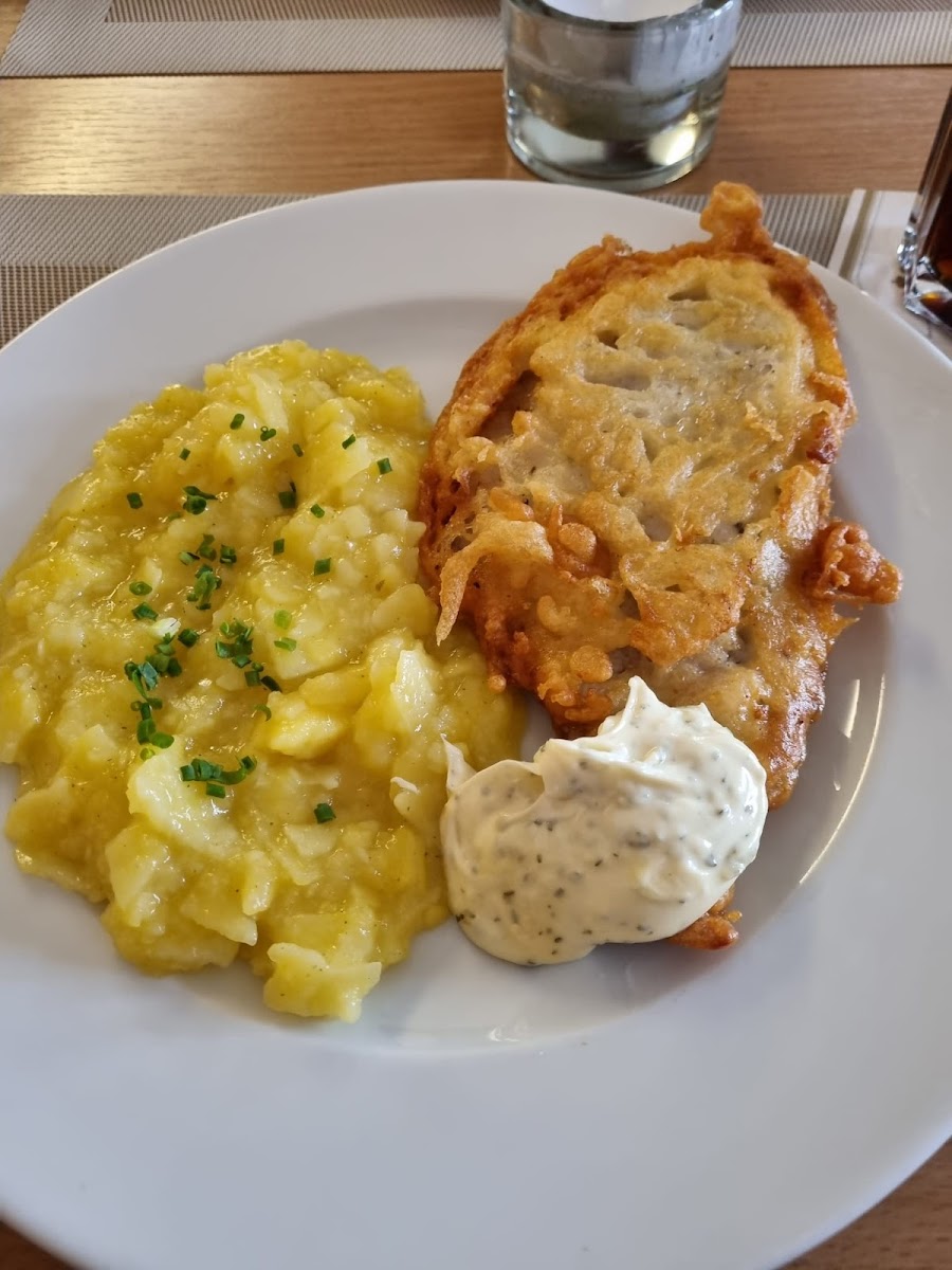 Dionysos Fellbach-9