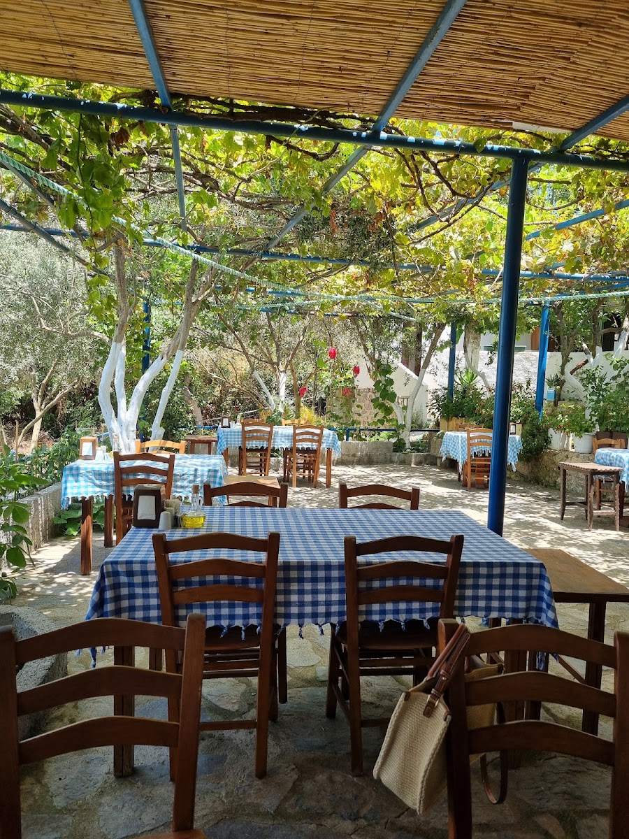 Dirmil Köy Kahvaltısı-3