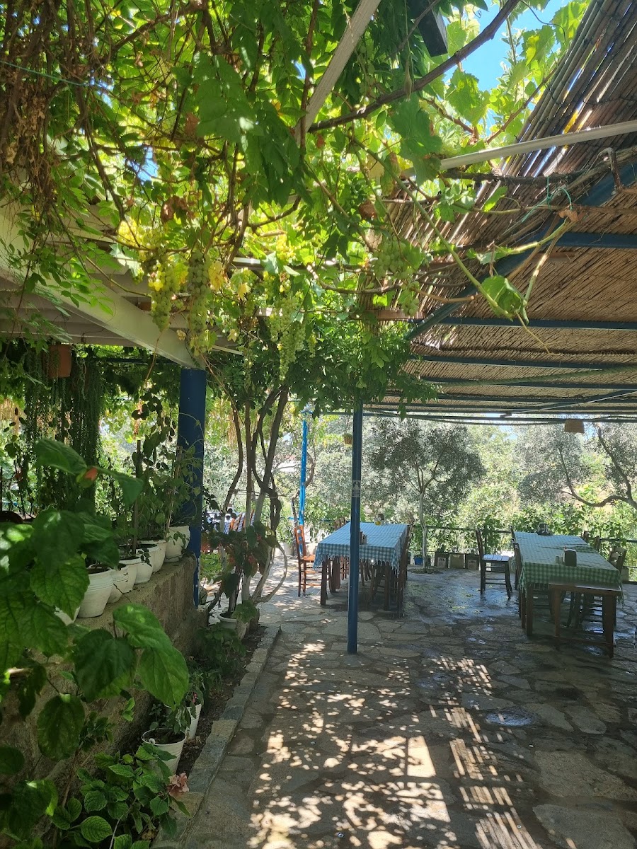 Dirmil Köy Kahvaltısı-4