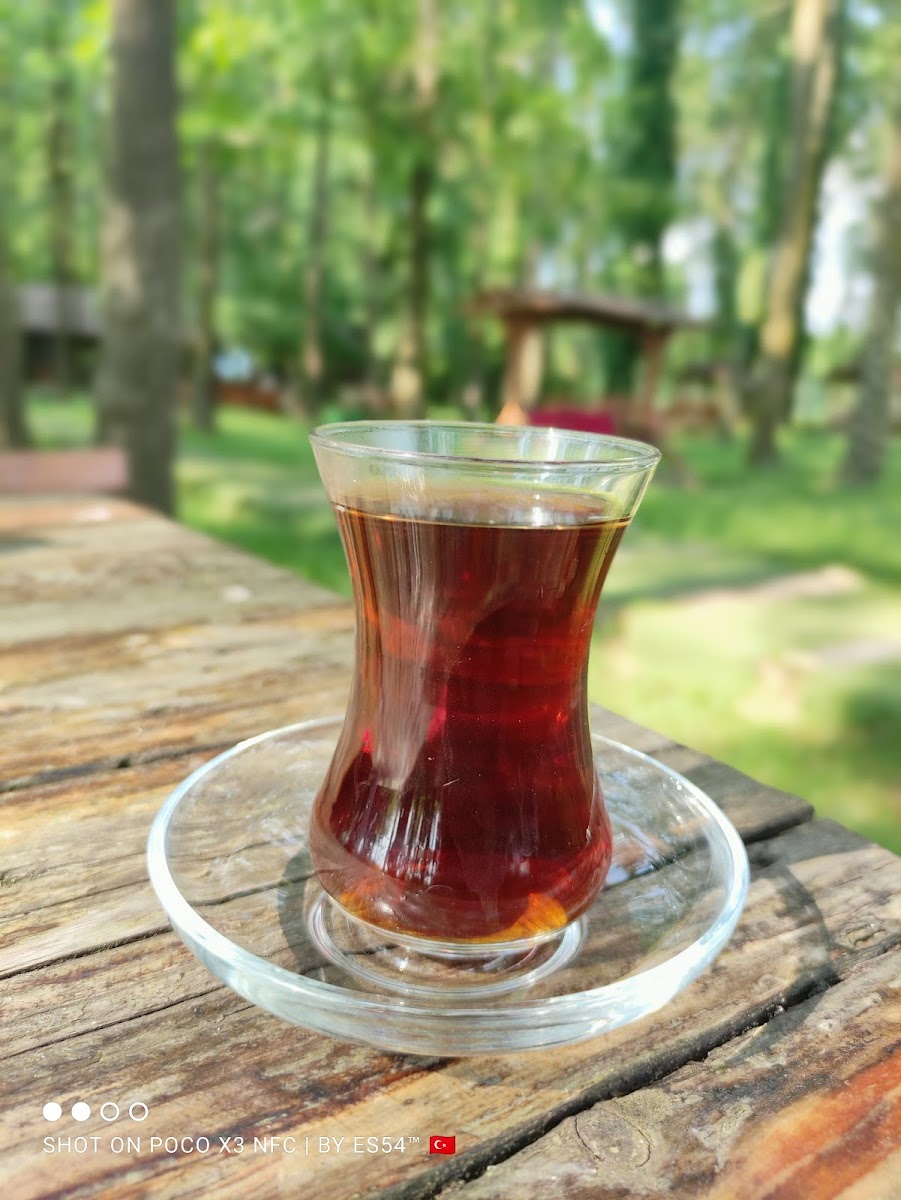 Doğa Country Club-5