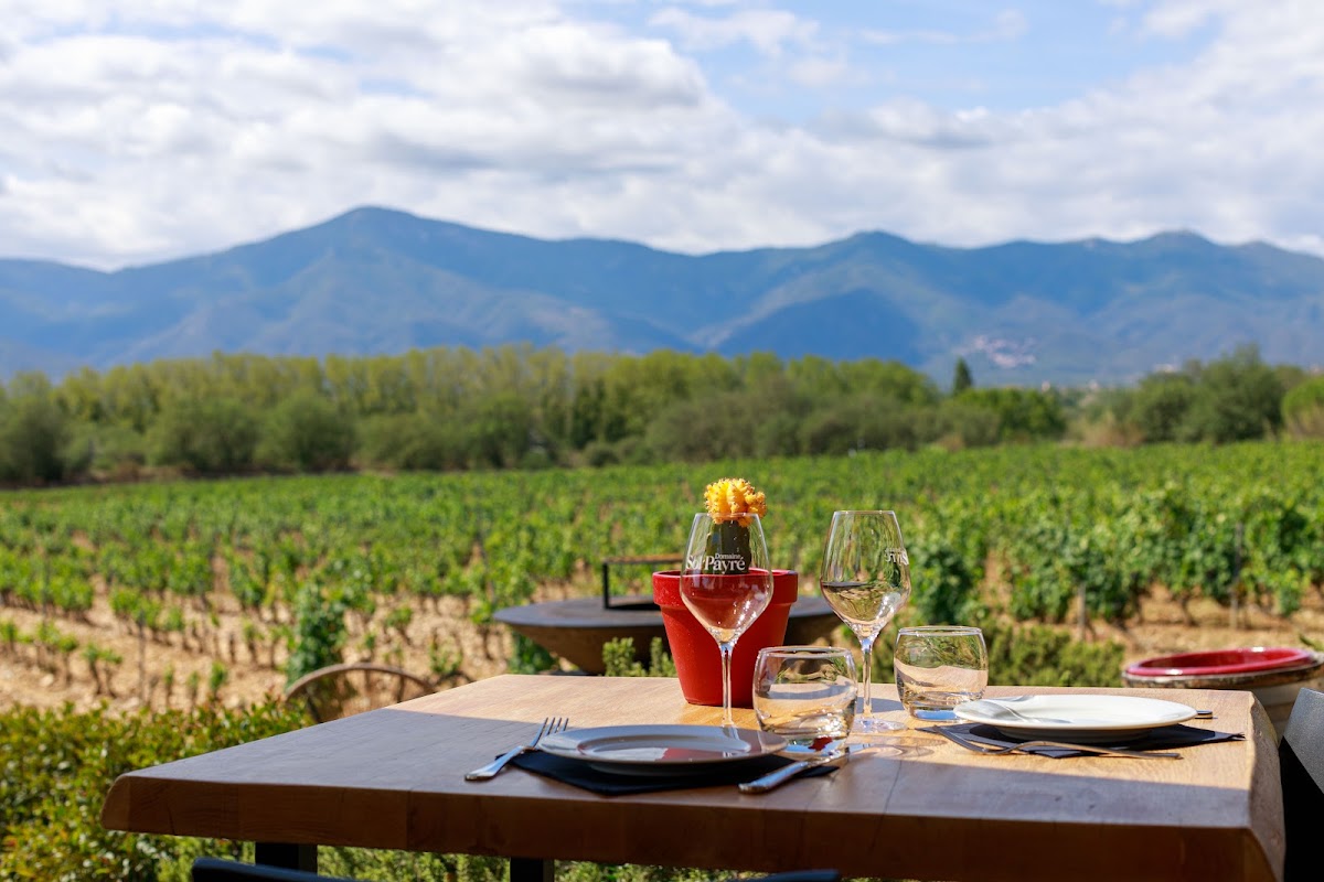 Domaine Sol-Payre-4