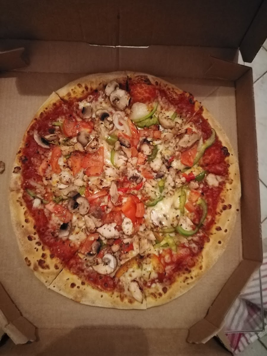Domino's Lens-4