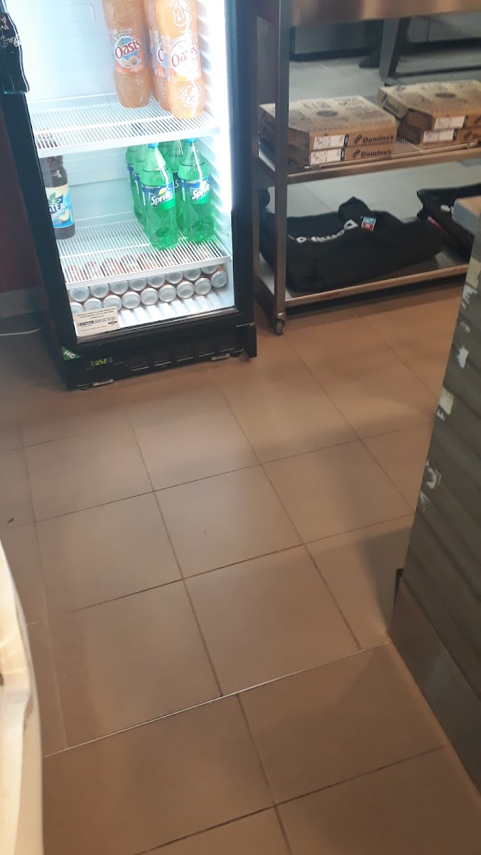 Domino's Lens-6