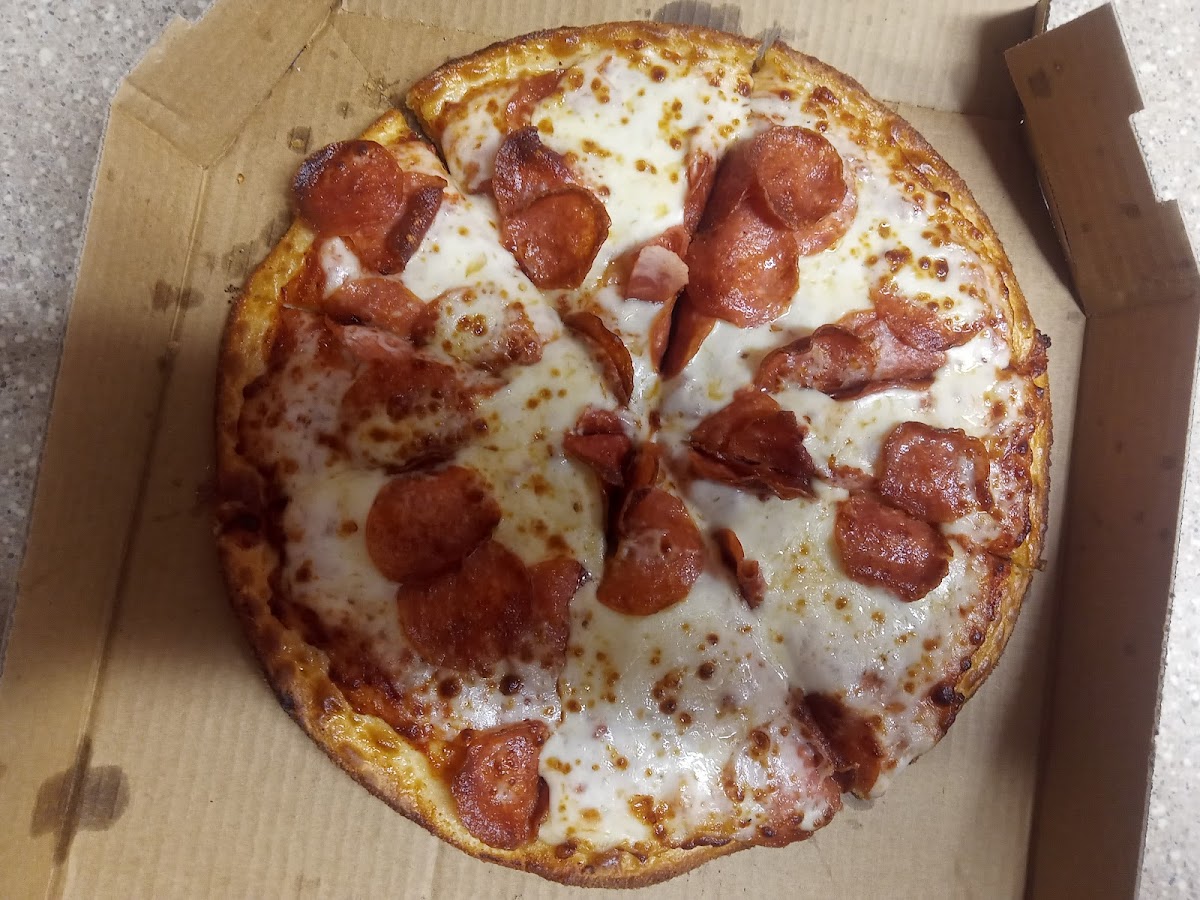 Domino's Pizza Alexander Heights-4