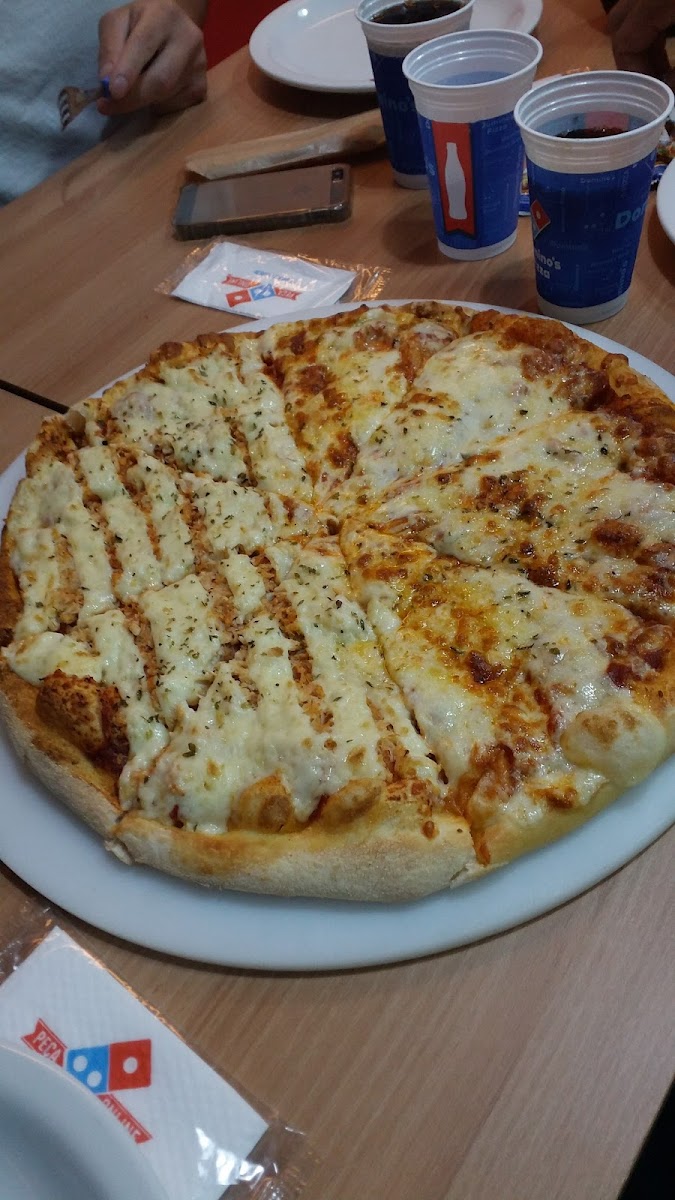 Domino's Pizza - Nova Friburgo-7