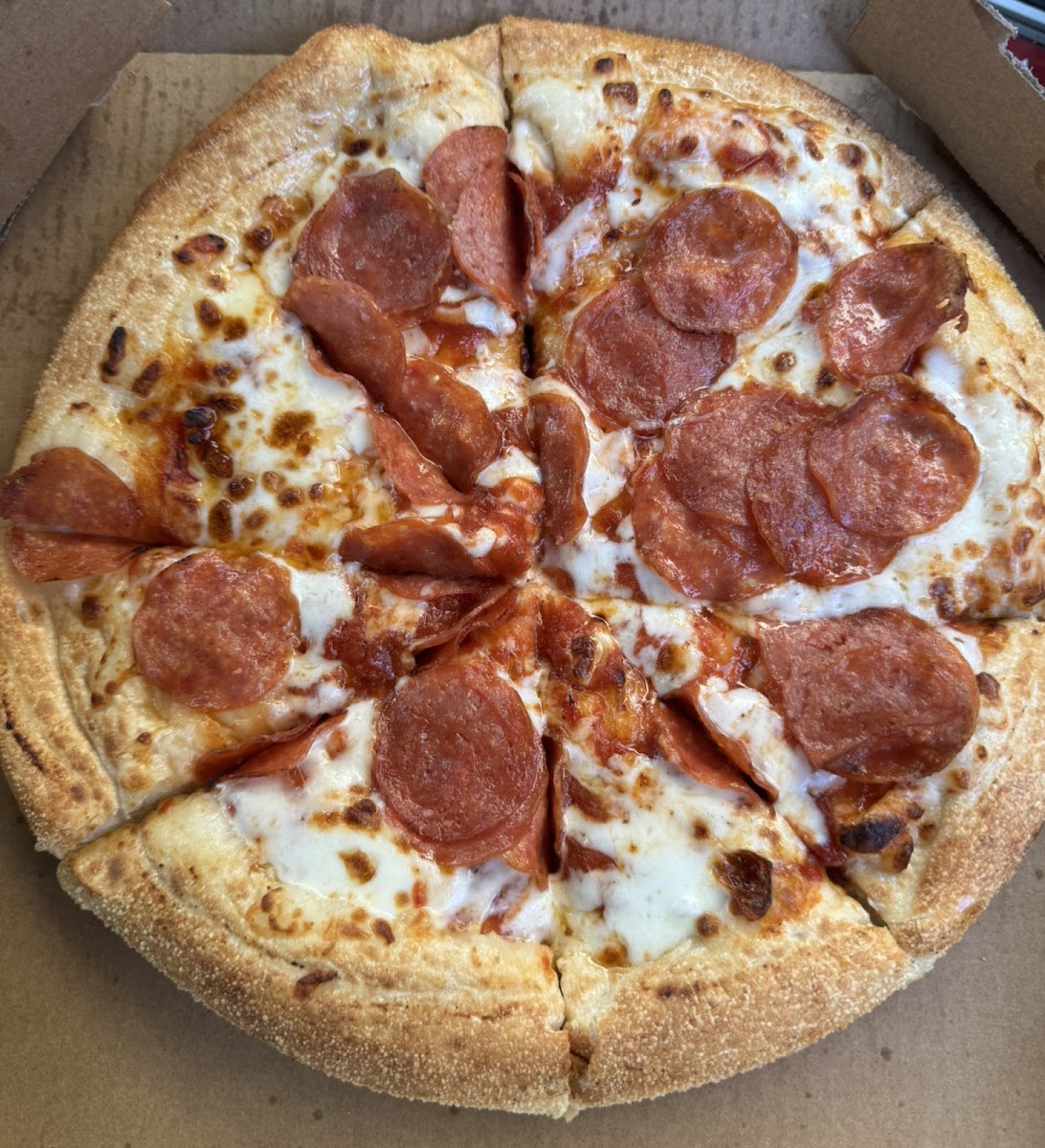 Domino's Pizza Prestons Nz-3