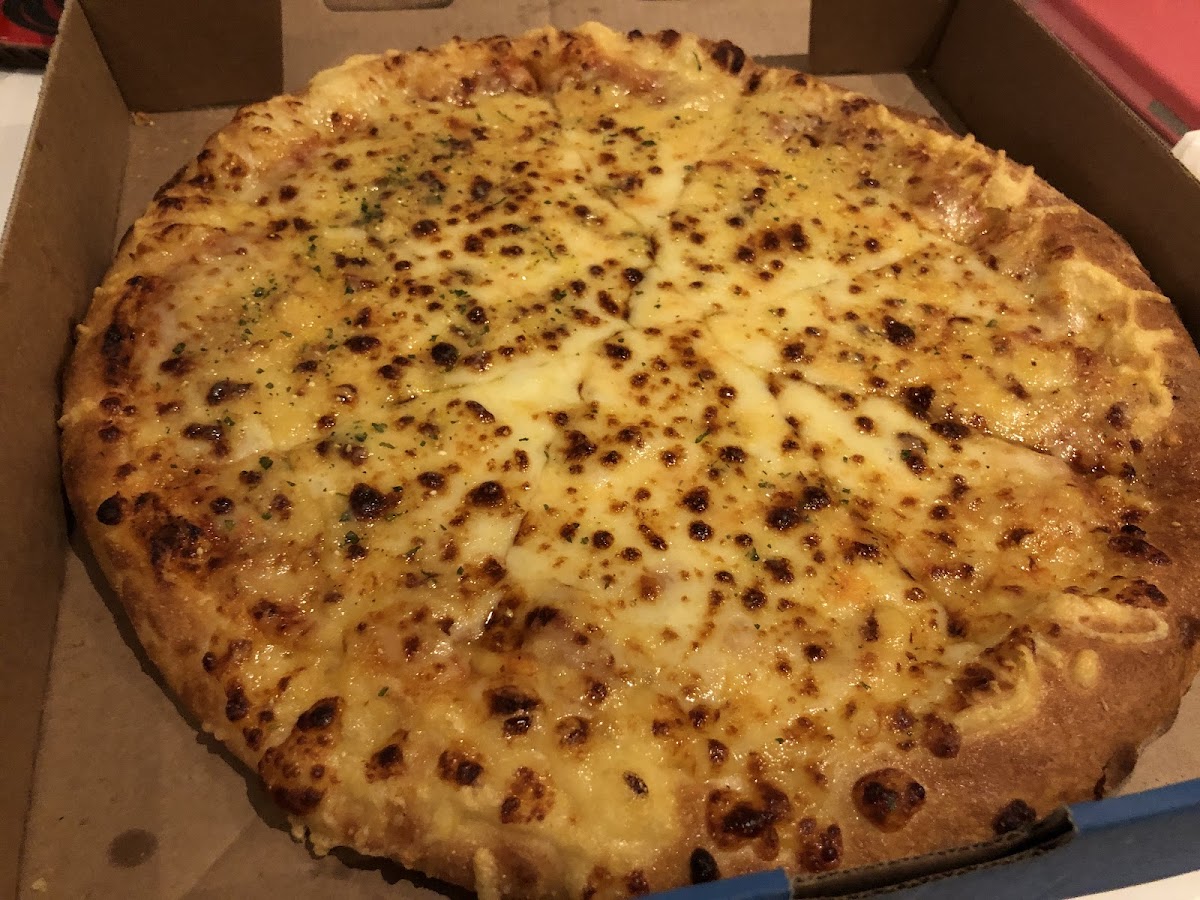 Domino's Pizza-8