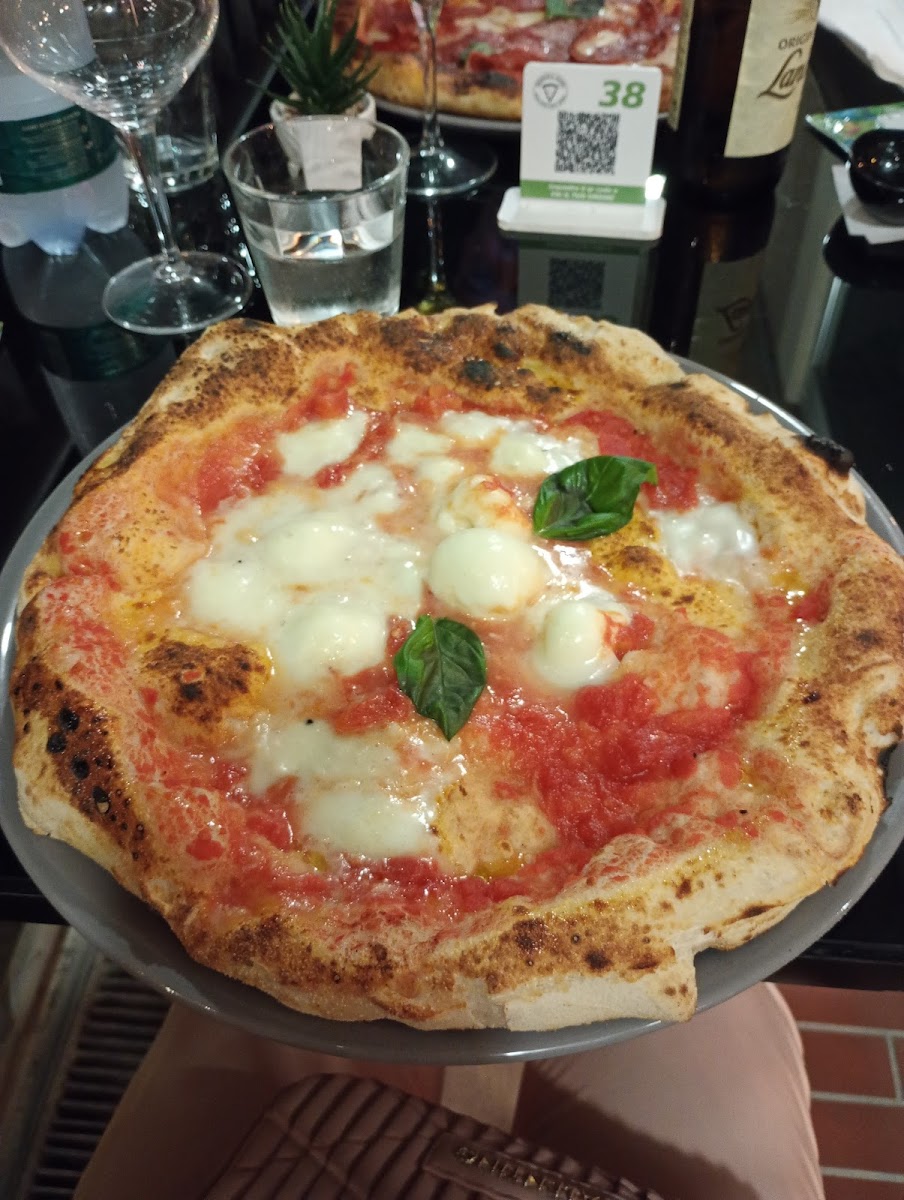 Donna Sofi' Civitanova Marche-4
