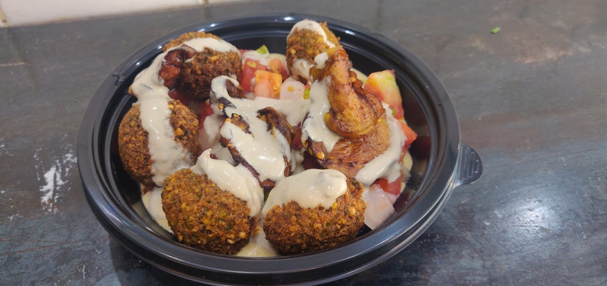 Dr. Saadia Falafel-3