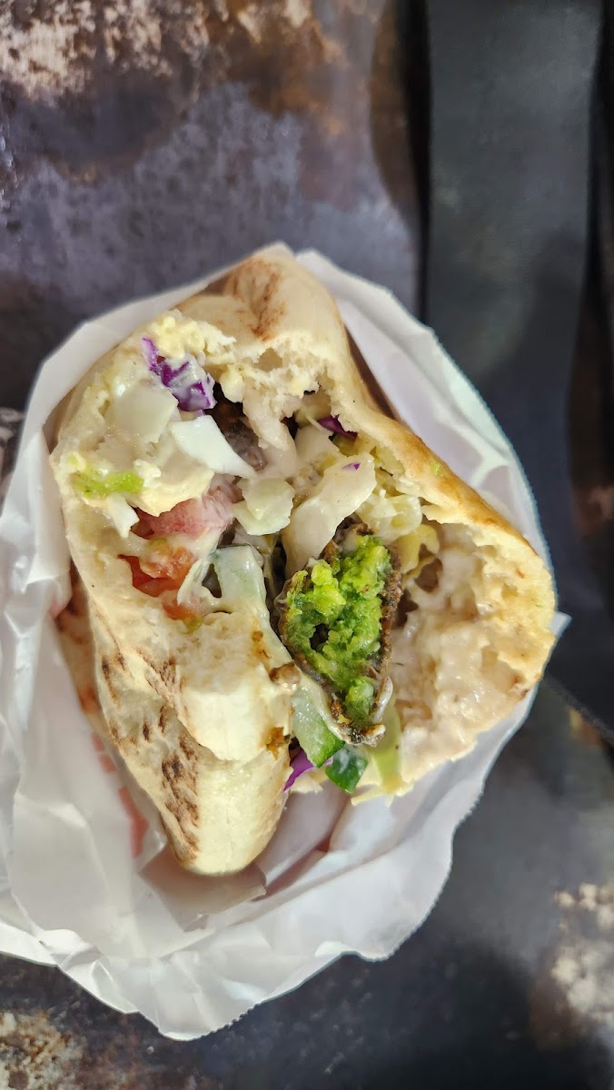 Dr. Saadia Falafel-5