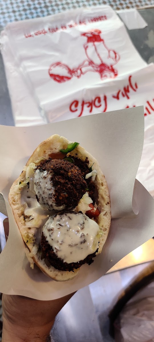 Dr. Saadia Falafel-7
