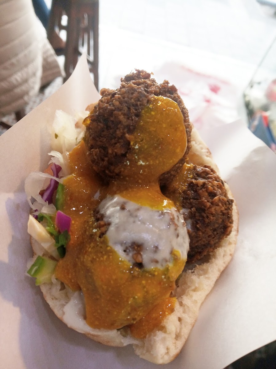 Dr. Saadia Falafel-8