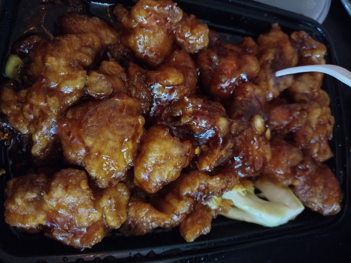 Dragon City Chinese Restaurant-9