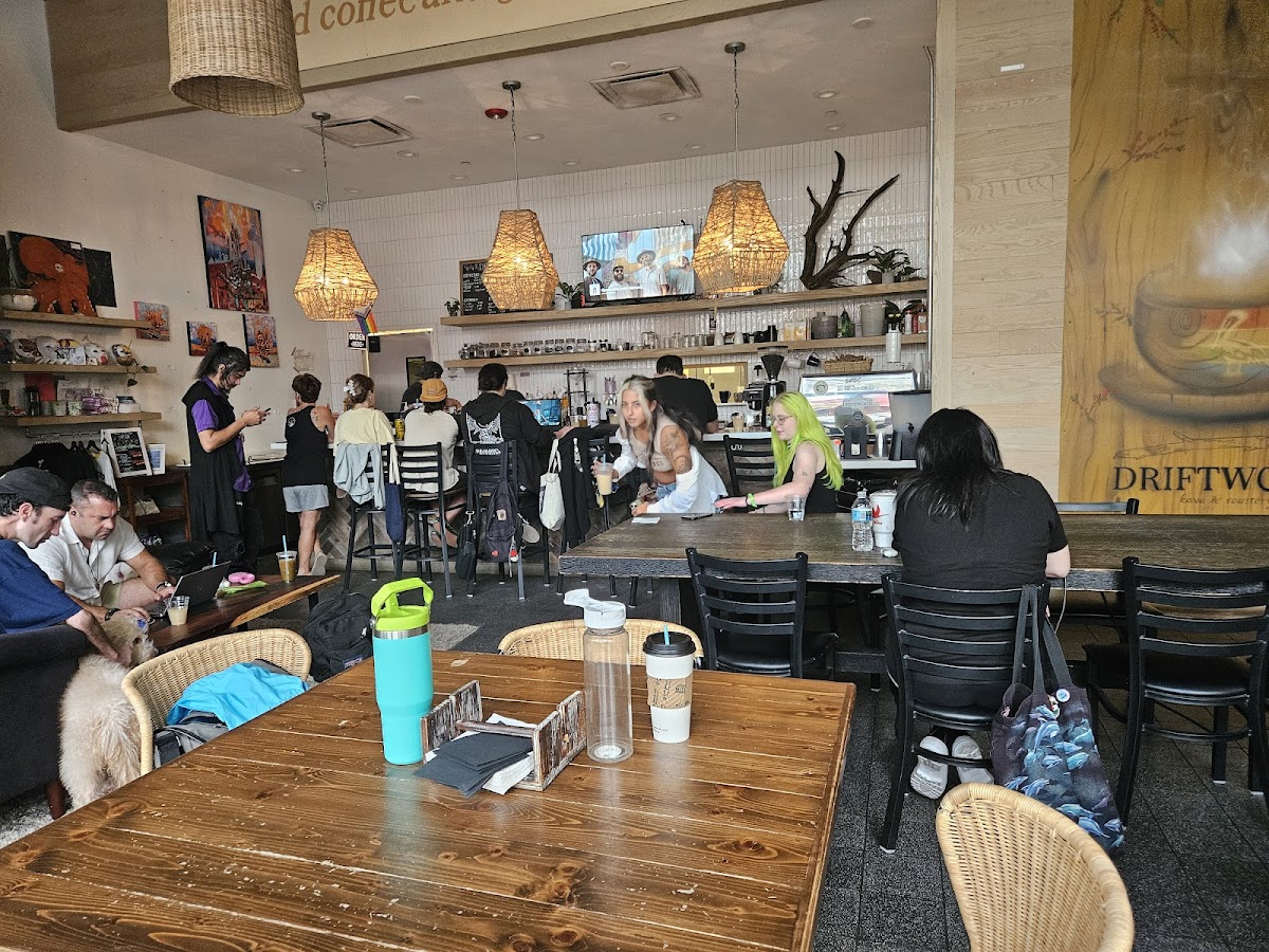 Driftwood Kava & Roastery St. Pete-3