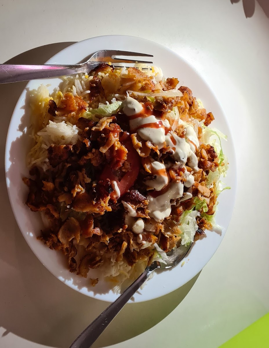 Dubai Kebab-10