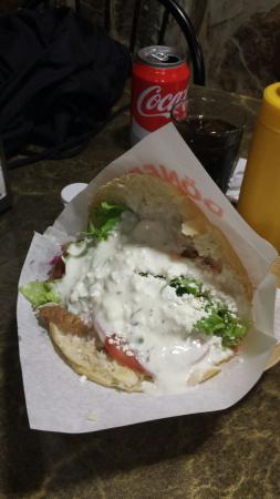 Dubai Kebab-7