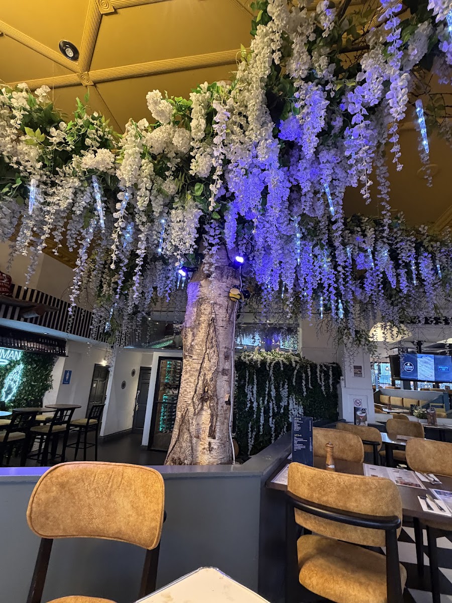 Duman Turkish Mediterranean Grill Bar-3