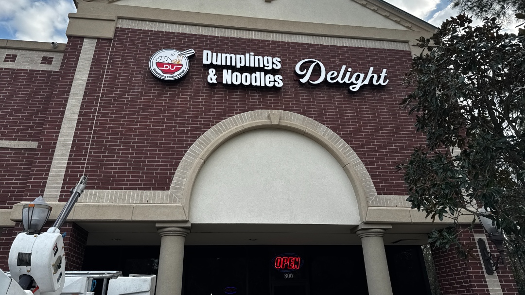 Dumplings & Noodles Delight