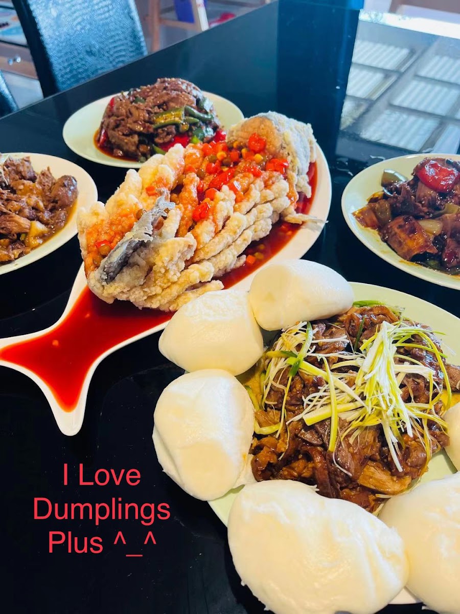 Dumplings Plus-3