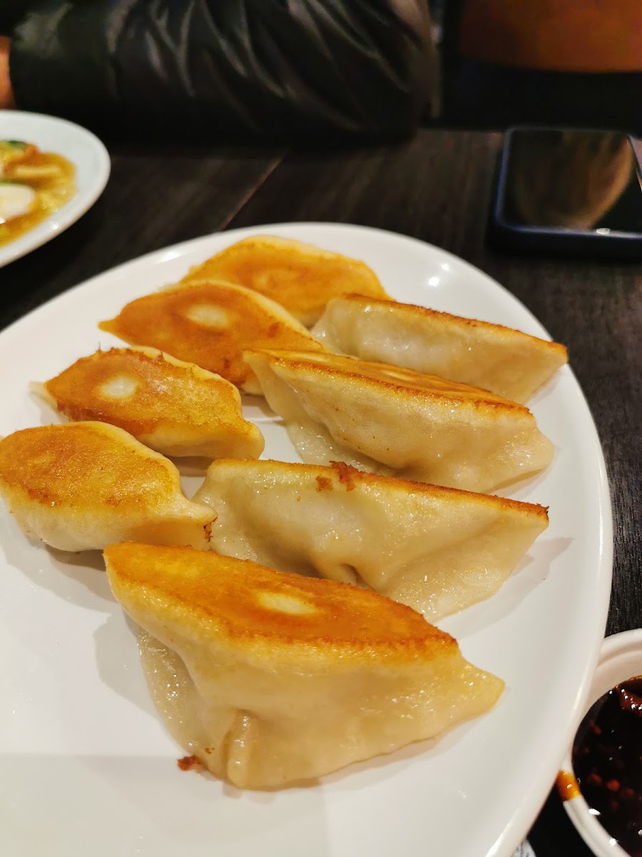 Dumplings Plus-6