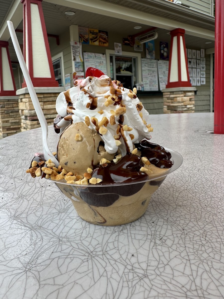 Dune Dogz & Treats-9
