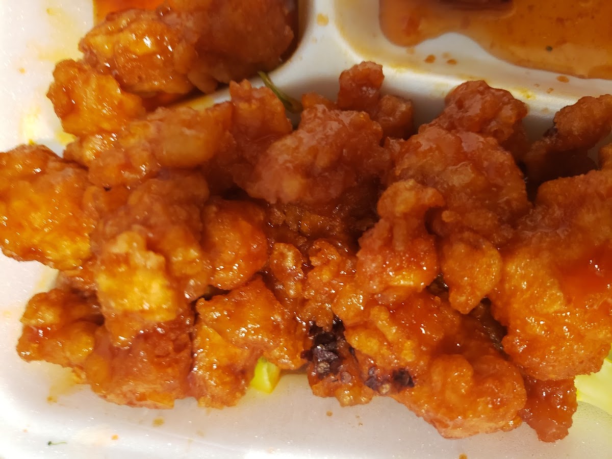 Dynasty Chinese Food-4