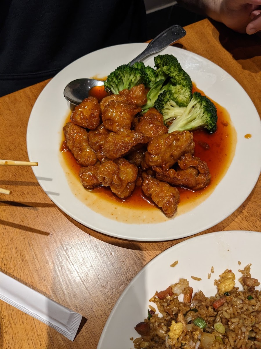Eastwind Chinese Restaurant & Noodle Bar-4