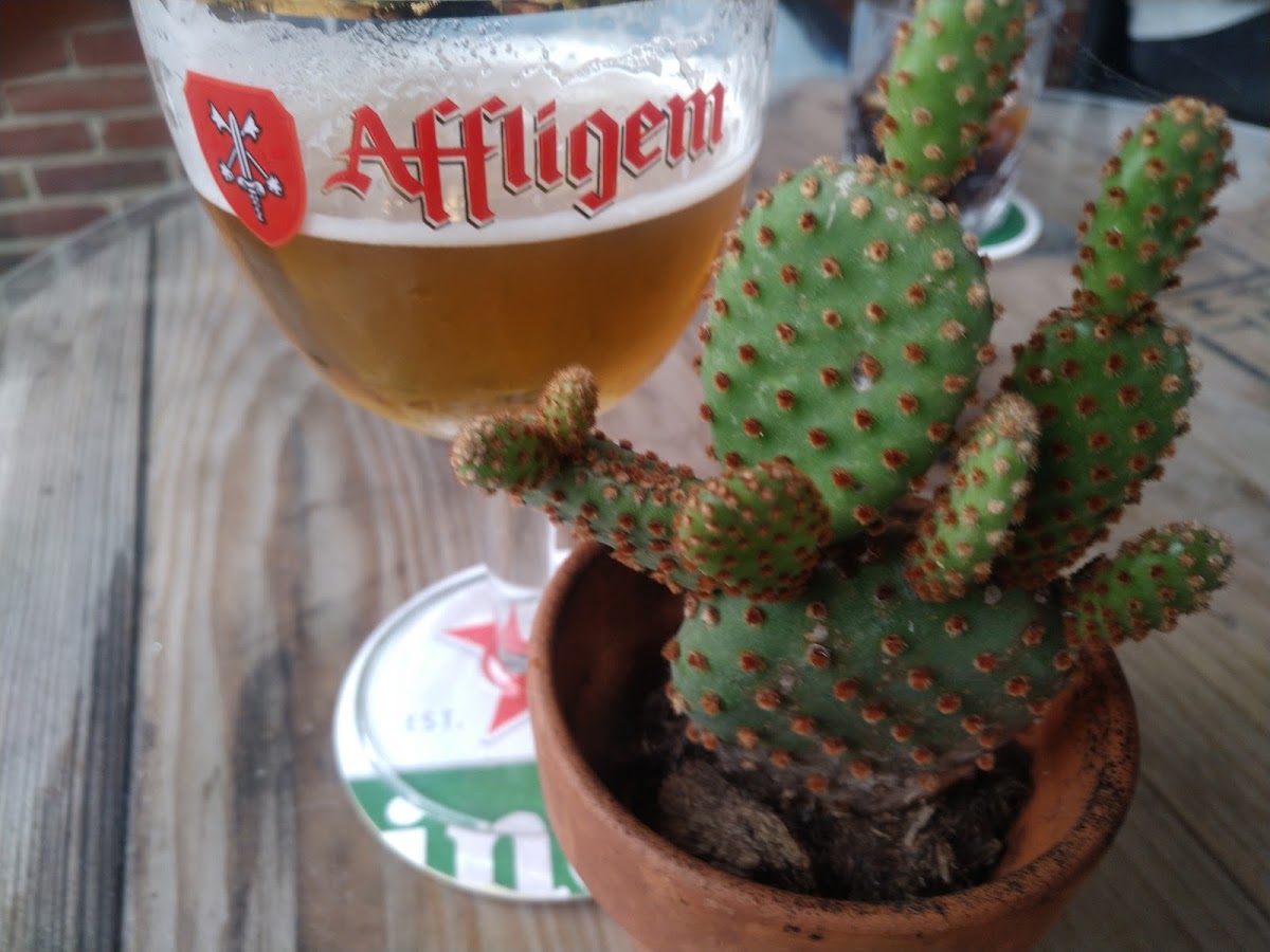 Eeterij En Feesterij De Driezeeg-6