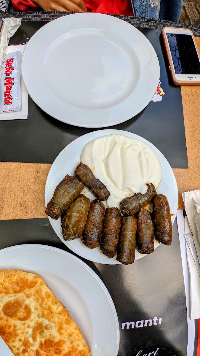Şefo Mantı-6