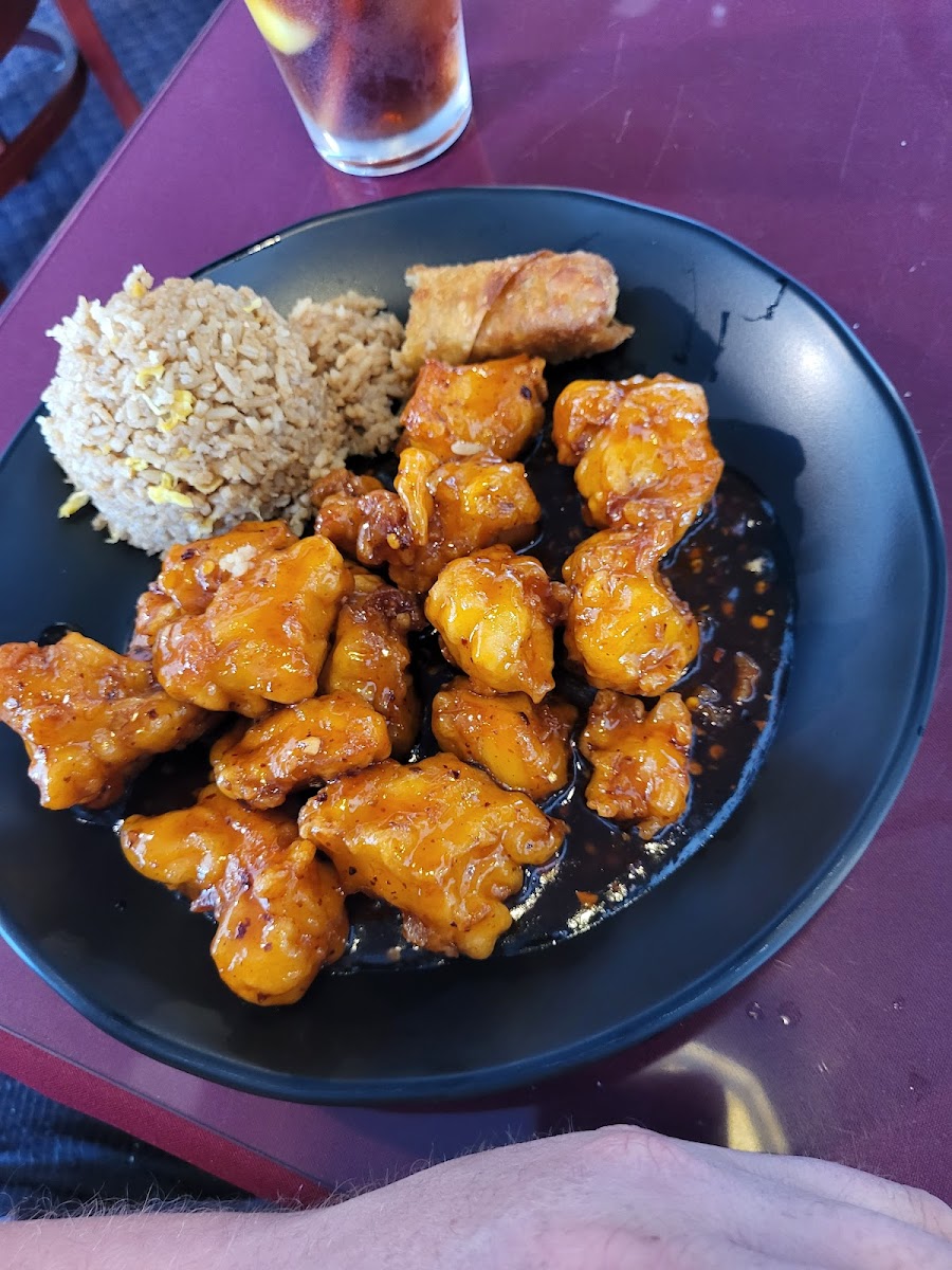 Egg Rolls Chinese Cafe-9