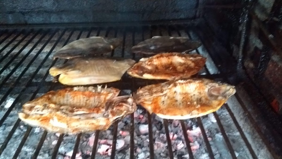 El Mas Rico Pollo A La Parrilla Pechito De Cerdo-10
