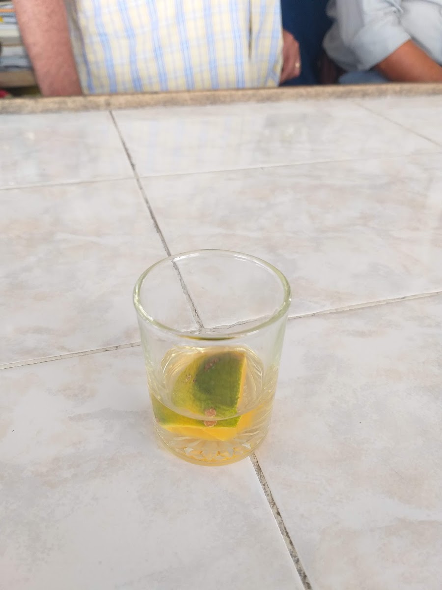 El Mirador-9