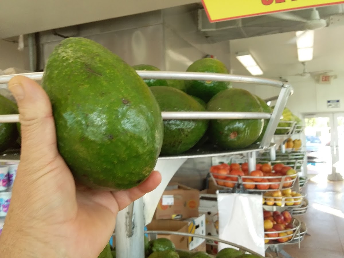 El Palacio De Los Jugos-8