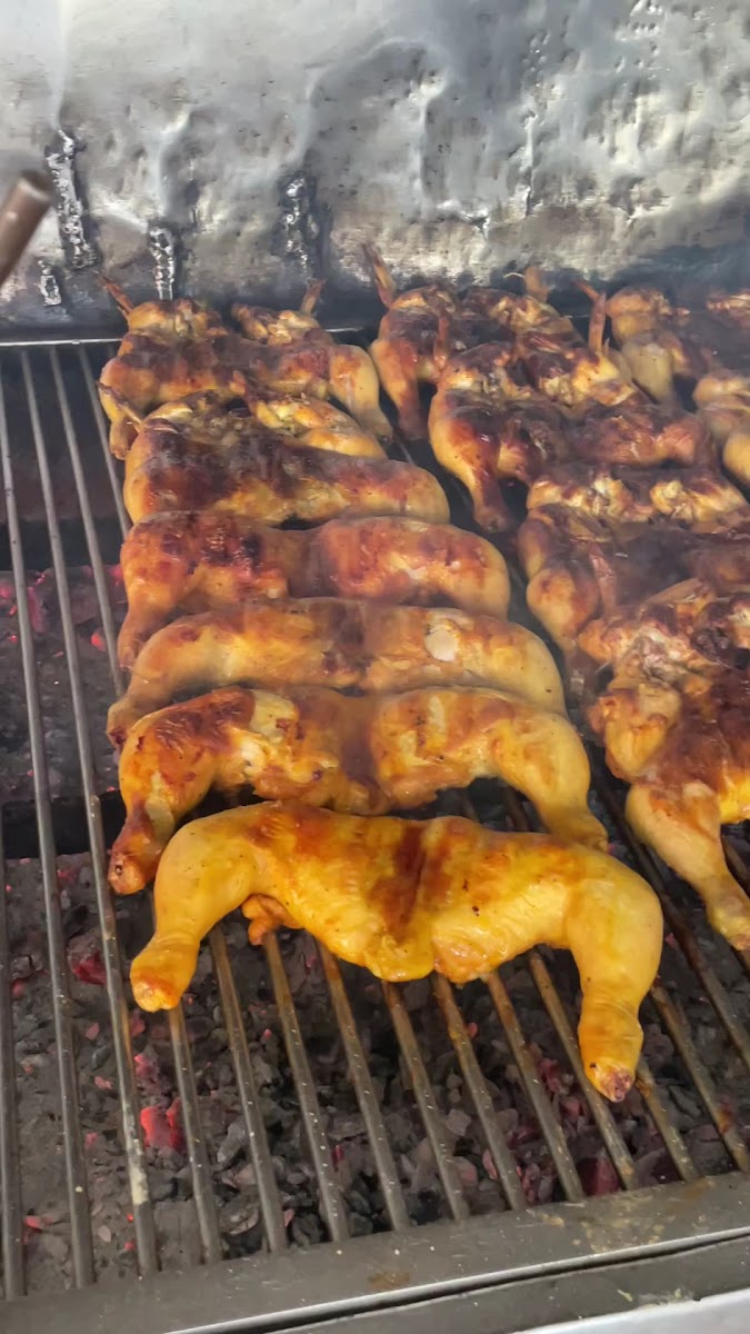 El Pollo Feliz-2