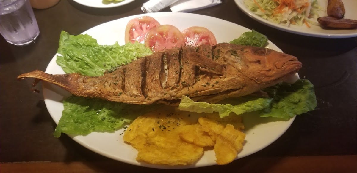 El Rinconcito Colombiano 1-7