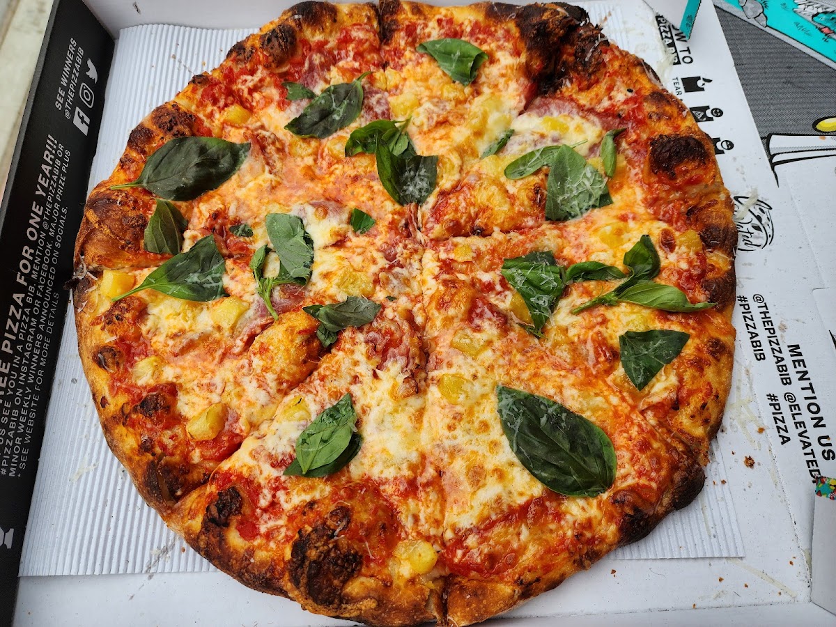 Elevated Pizza-7